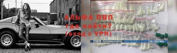 ГАЛЛЮЦИНОГЕННЫЕ ГРИБЫ Белокуриха
