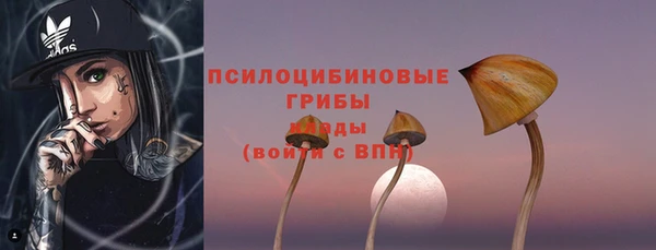 ГАЛЛЮЦИНОГЕННЫЕ ГРИБЫ Белокуриха