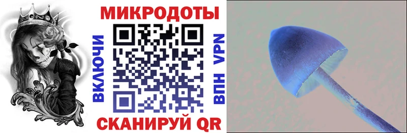 Галлюциногенные грибы прущие грибы Туринск