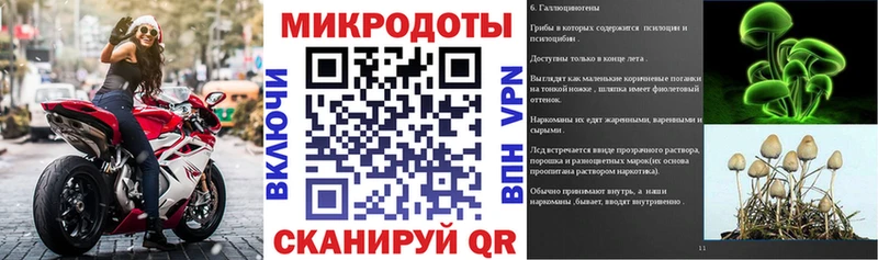 Псилоцибиновые грибы мицелий  Туринск 